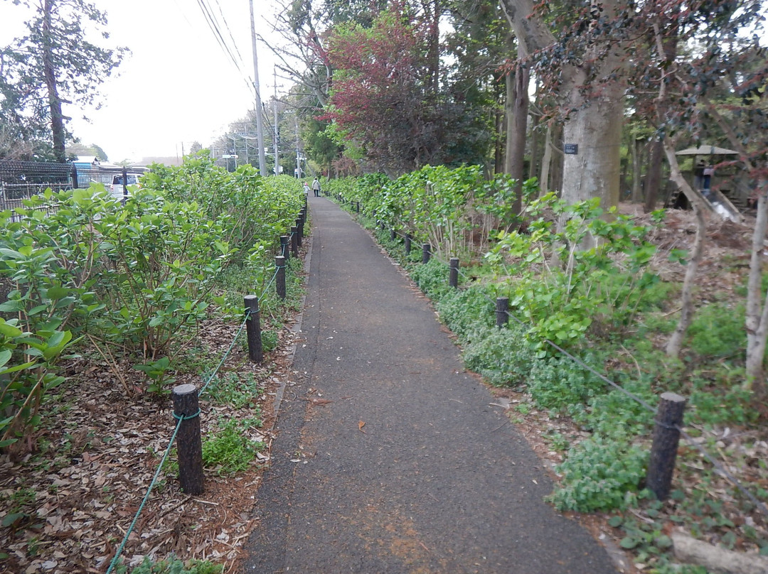 Asamizo Park-相模原市必去景点