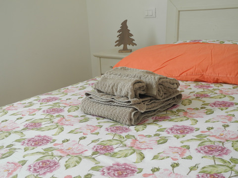 里拉含羞草民宿主图