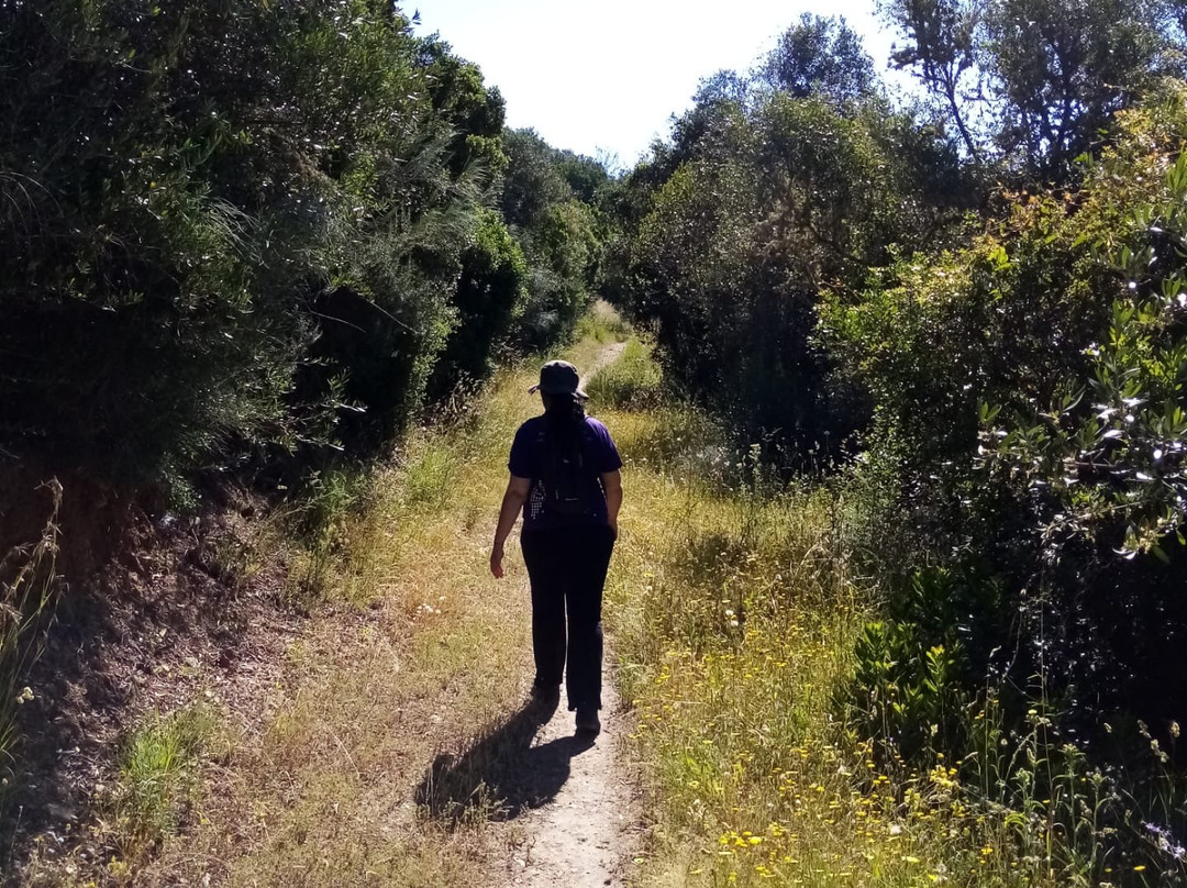 Parque Ecologico do Gameiro景点图片