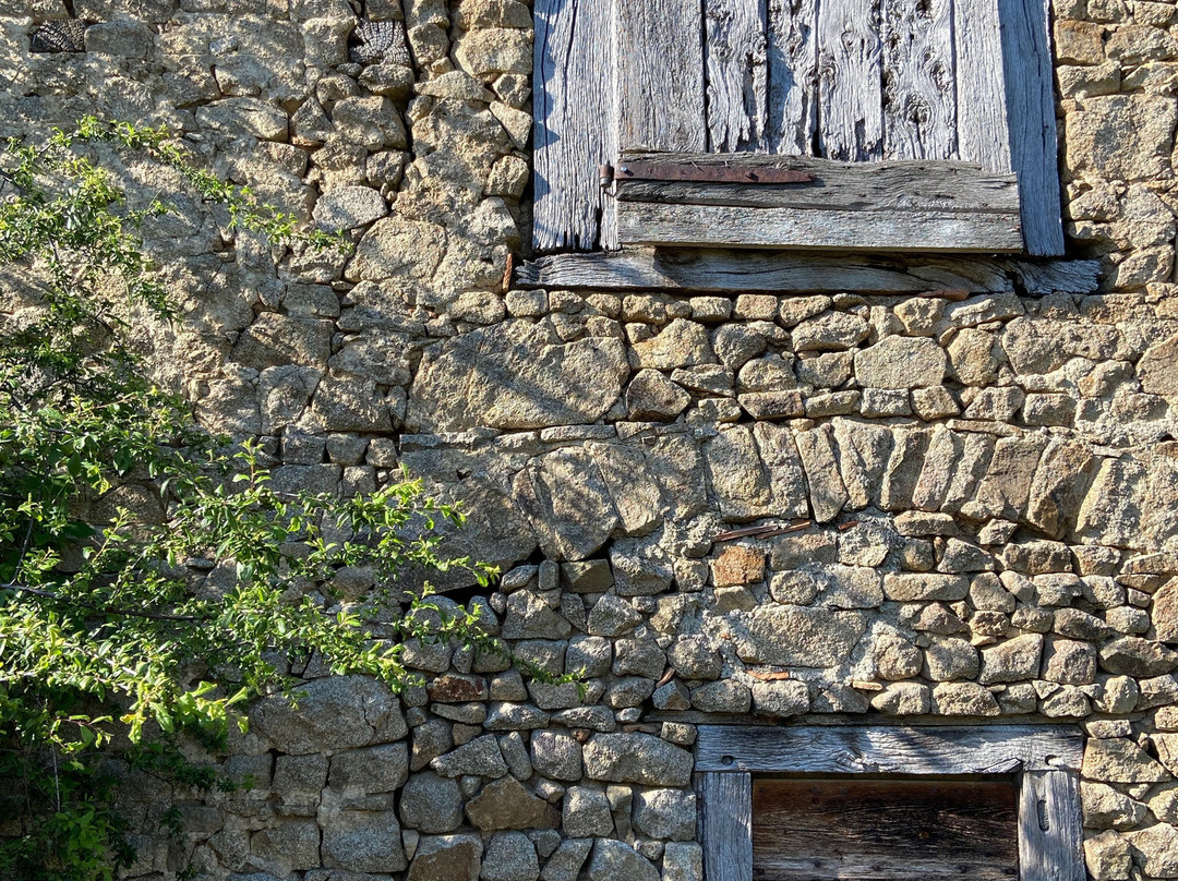 La Paresse en Douce主图