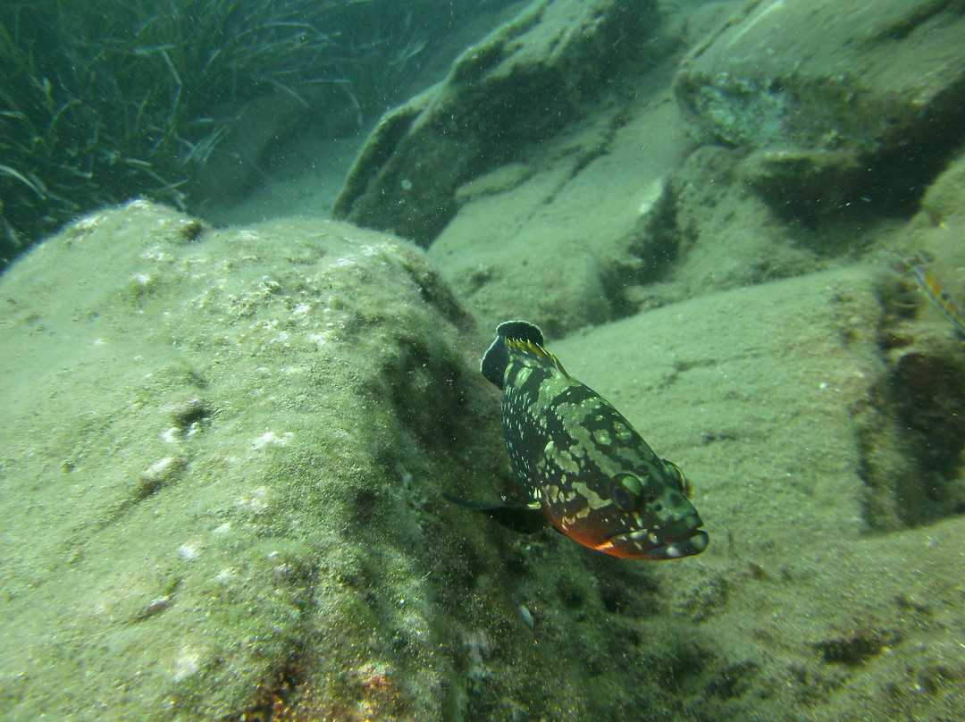 Atlantis Diving Center-Adelianos Kampos必去景点
