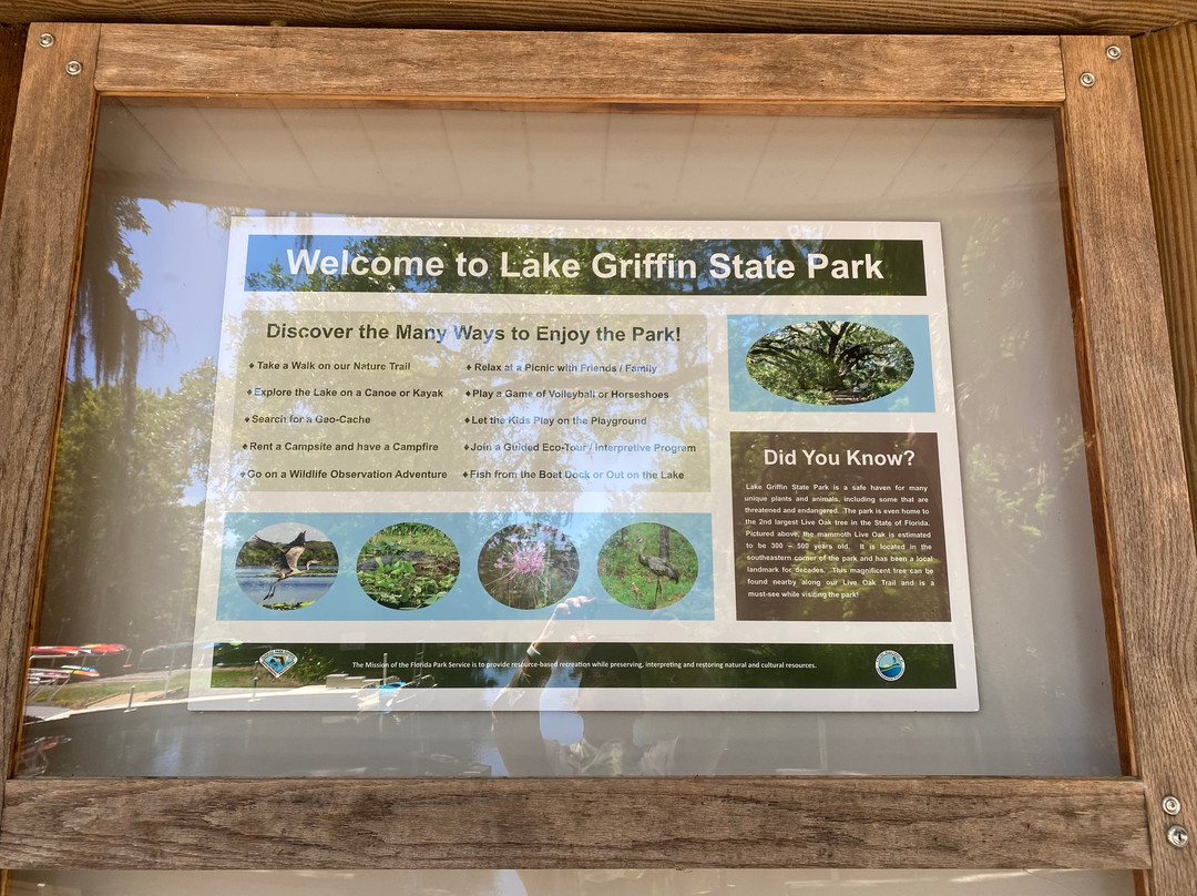 Lake Griffin State Park景点图片