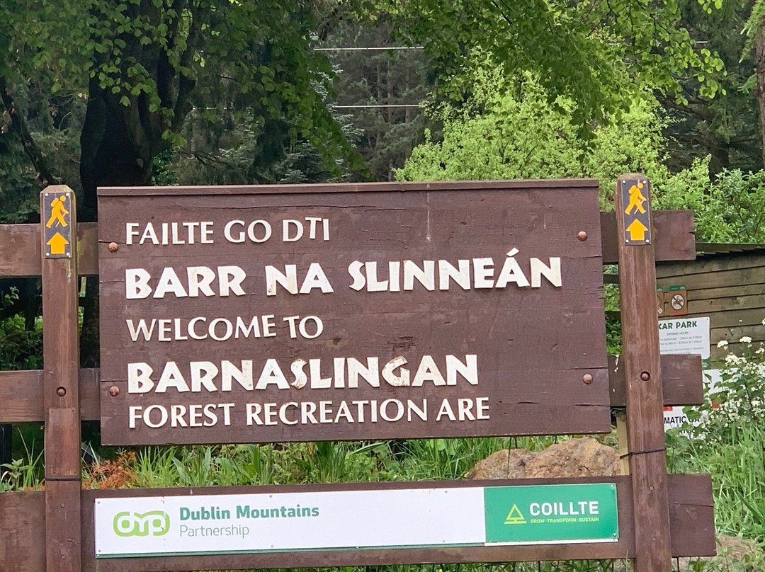 Barnaslingan Woods-Enniskerry必去景点