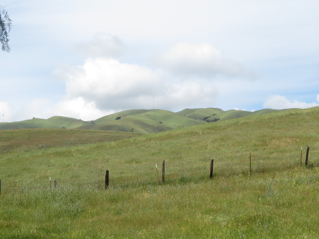Jose Higuera Adobe Park-米尔皮塔斯必去景点