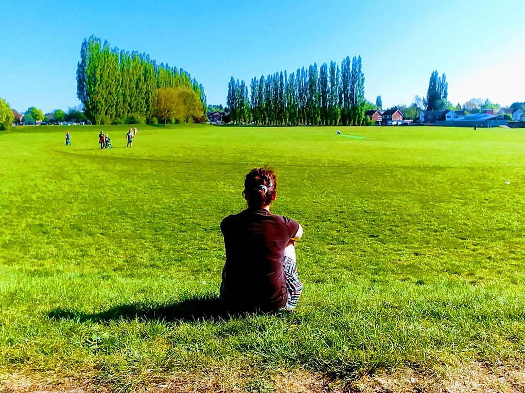 Knighton Park景点图片