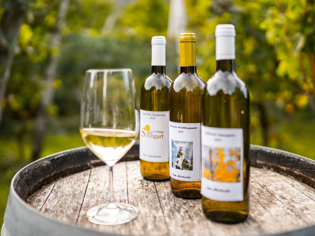 Hotel Garni Sonngart主图