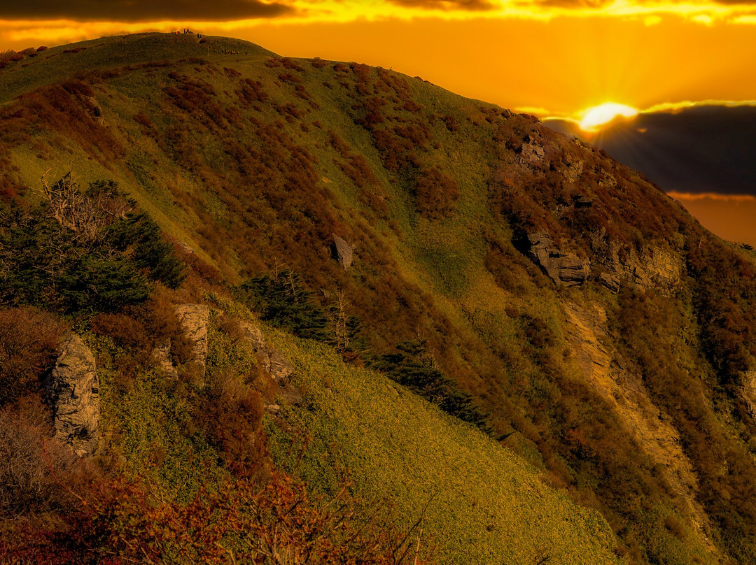 UFO Line-伊野町必去景点