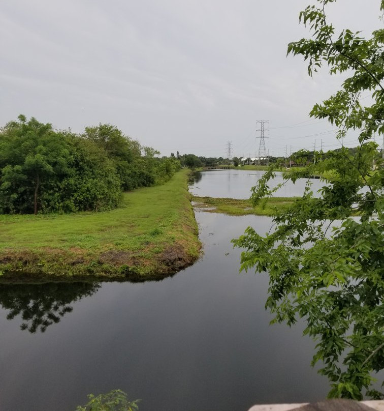 Largo Central Park Nature Preserve景点图片