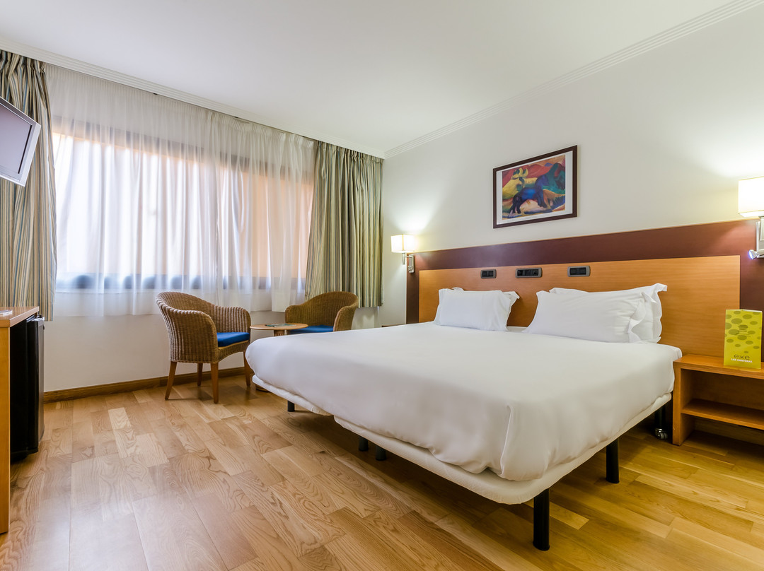 欧洲之星拉斯坎特拉斯酒店主图