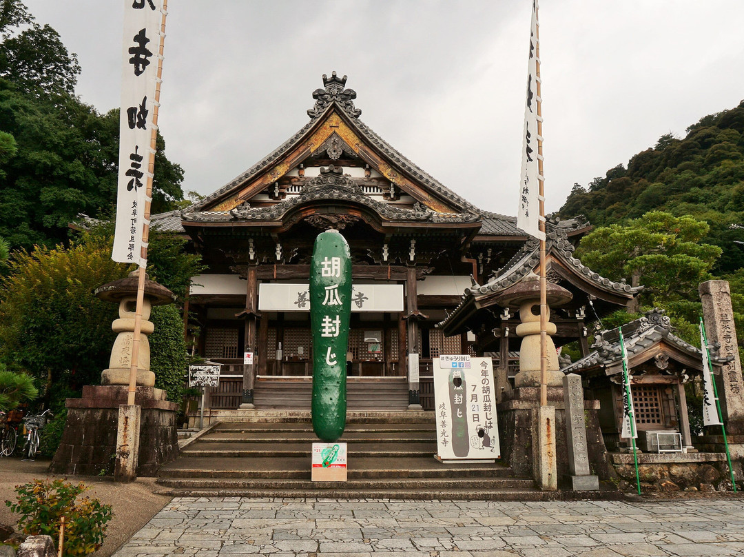 Zenko-ji Temple-岐阜市必去景点