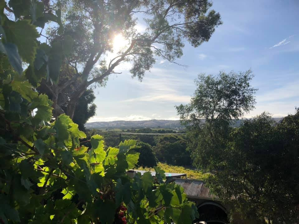 Karawatha Cottages主图