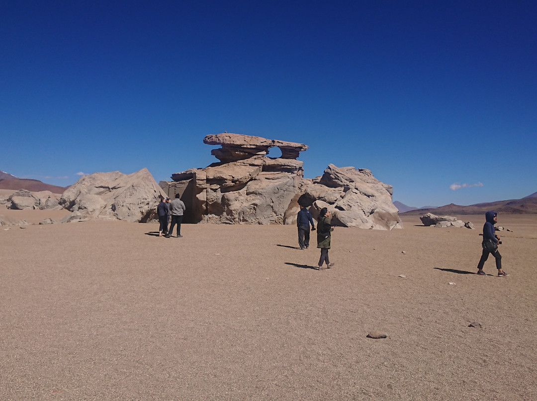 Arbol de Piedra-乌尤尼必去景点