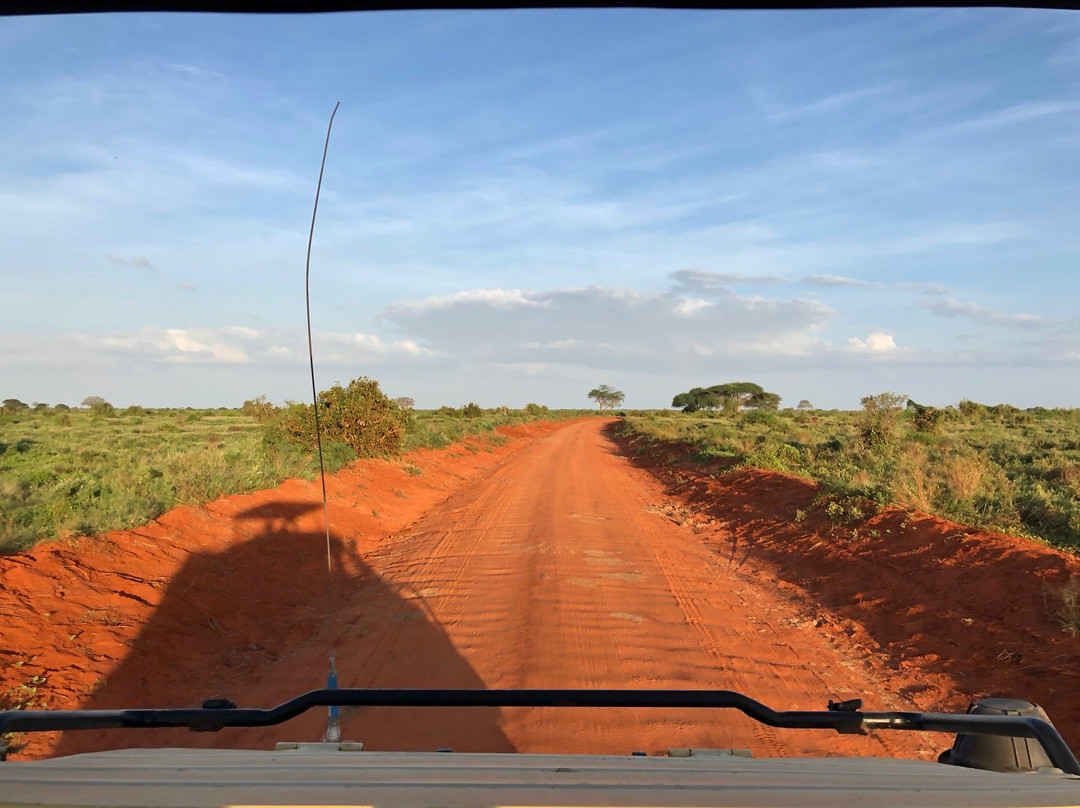 Safari Afrique-蒙巴萨必去景点