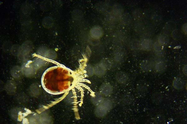 The Black Sea Research Center Bolshoi Utrish-Bolshoy Utrish必去景点