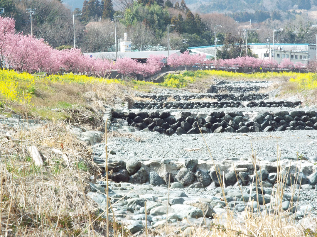 Mizunashi River-秦野市必去景点