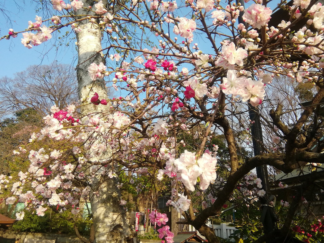 Gojoten Shrine景点图片