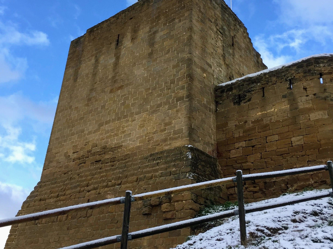 Castillo De San Vicente景点图片