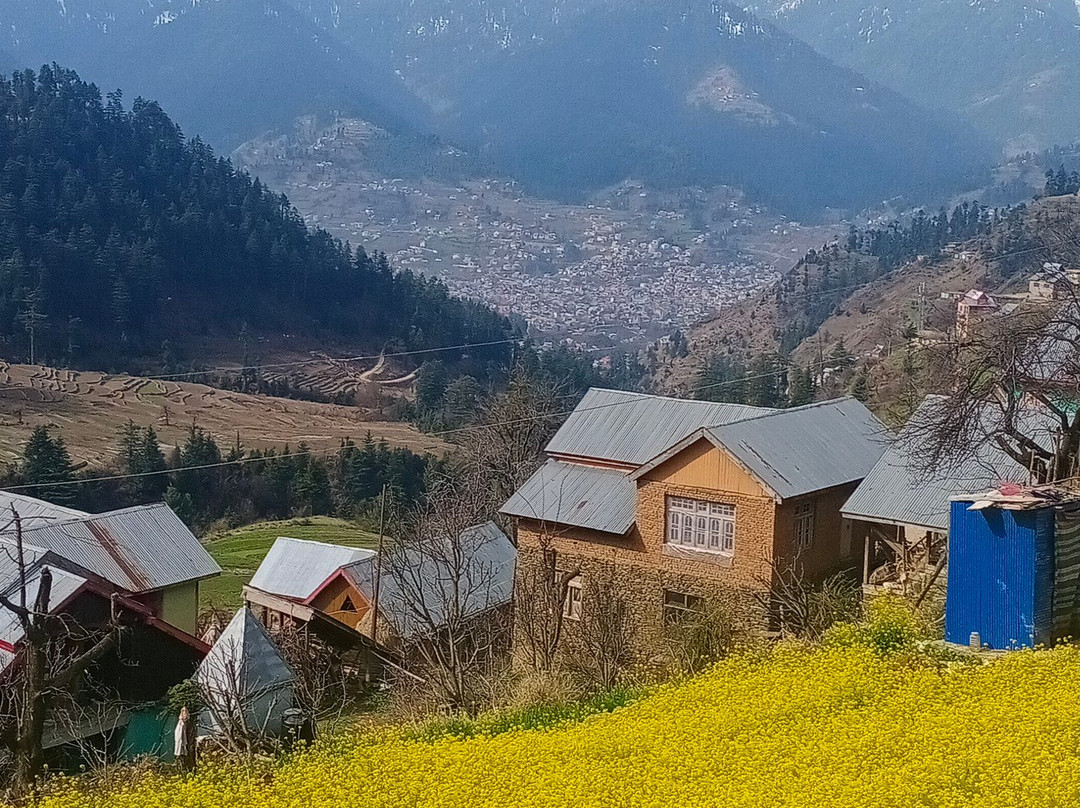 Sanaya Tour and Travel景点图片