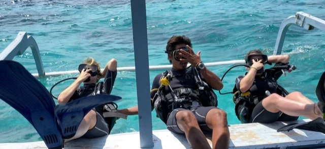 Dolphin Dive School-Senggigi必去景点