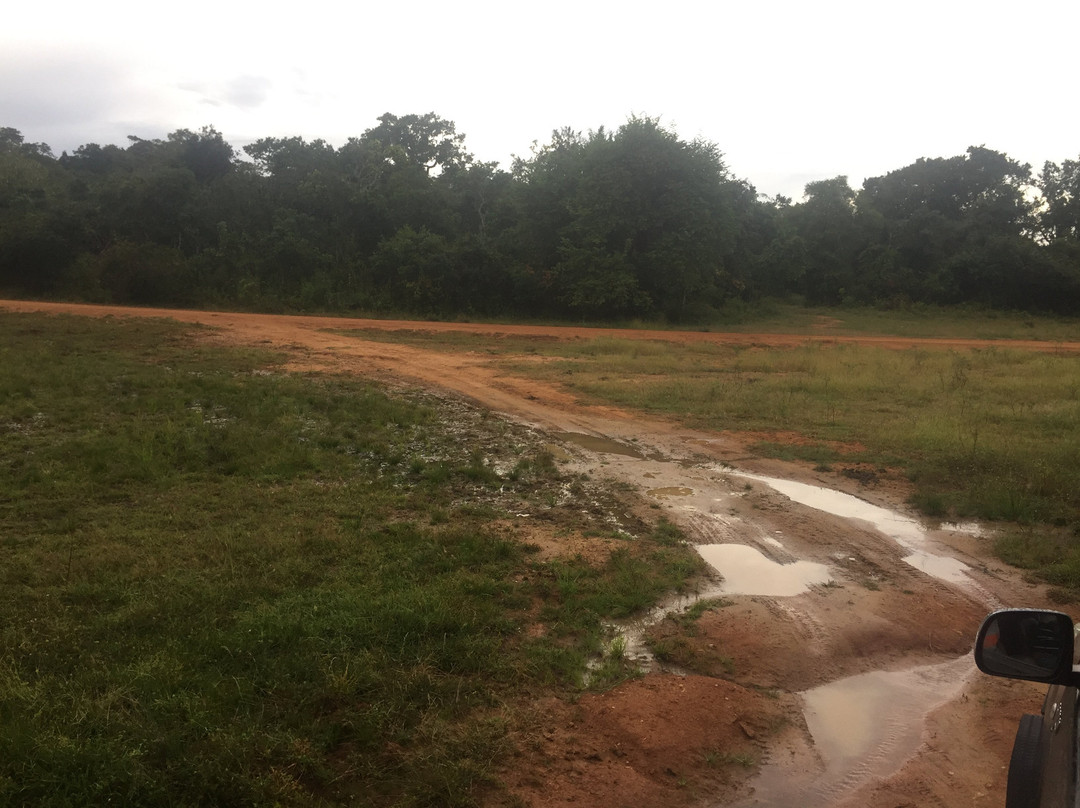 Yala Safari-Yala必去景点