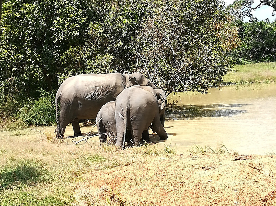 Roshan Safari景点图片