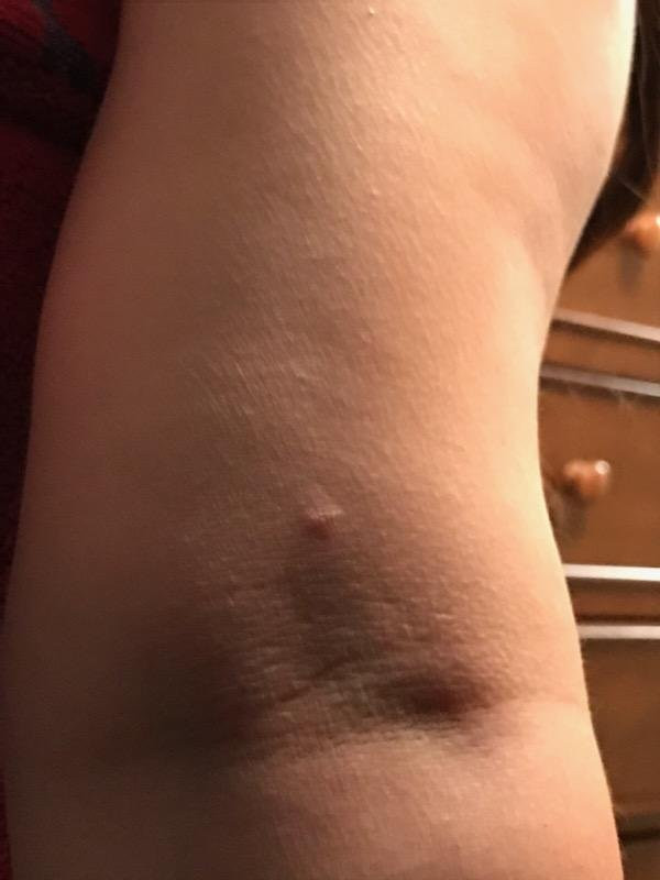 美国芝加哥长住酒店-莱尔主图