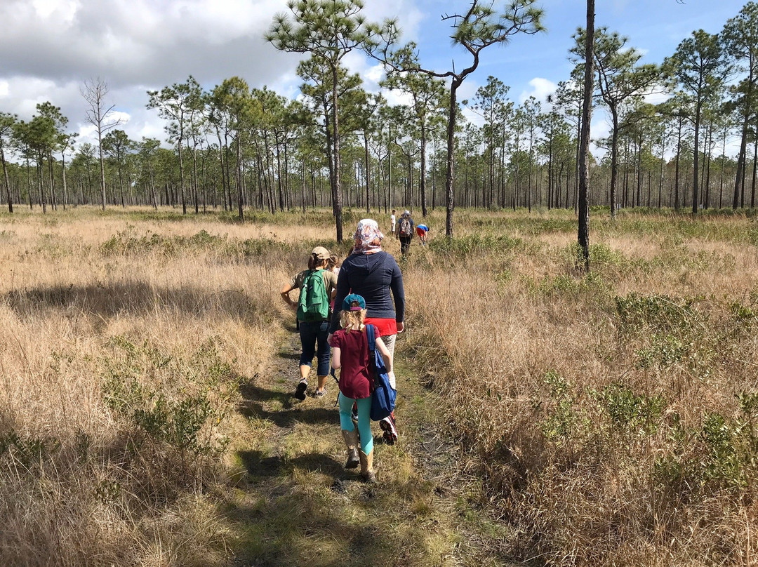 Grand Bay National National Refuge-莫斯波因特必去景点