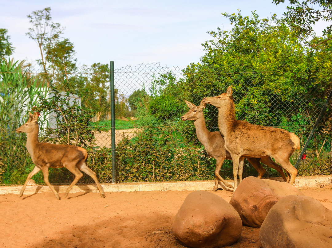 Le Zoo d'Agadir景点图片