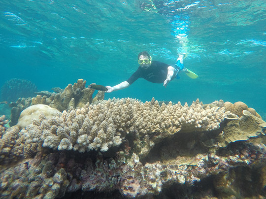 Ayo Karimun-Karimunjawa必去景点