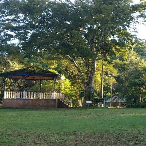 Parque da Lajinha景点图片