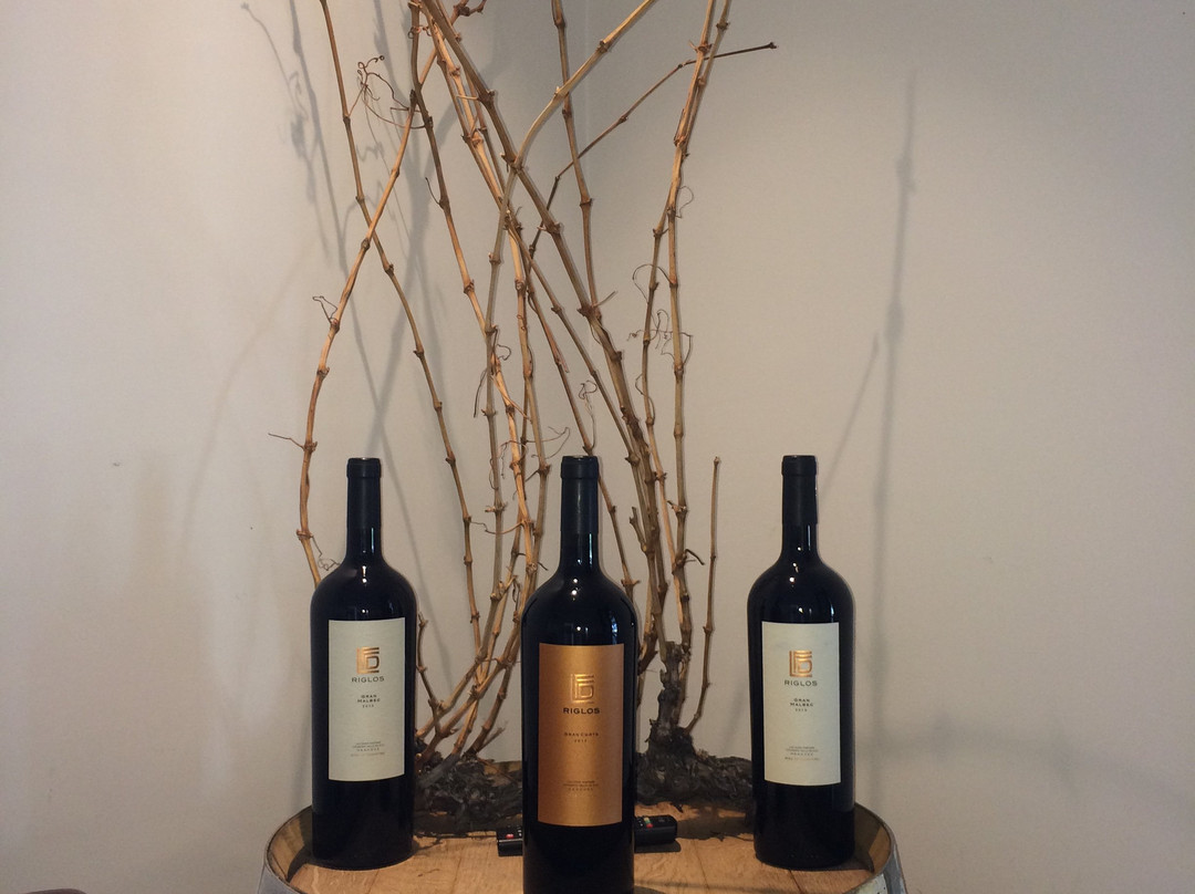 Huarpe Riglos Family Wines-阿格雷洛必去景点