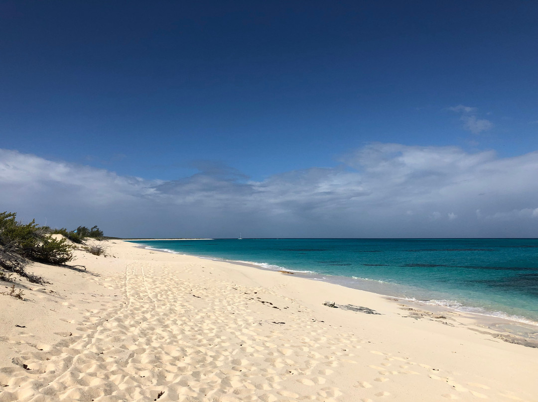 Tradewind Guest Suites on Salt Cay主图