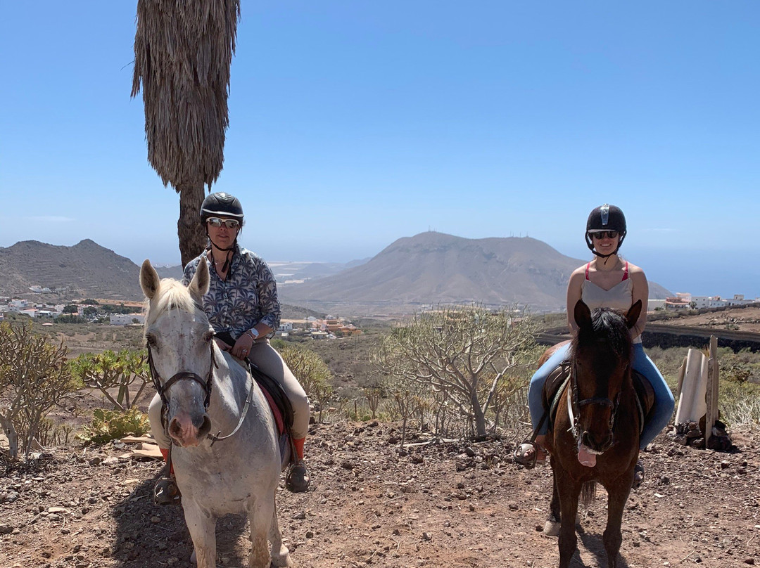Horse Riding Tenerife-阿罗纳必去景点