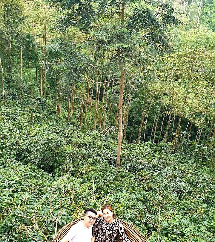 Sankara Tour Organizer-乌布必去景点