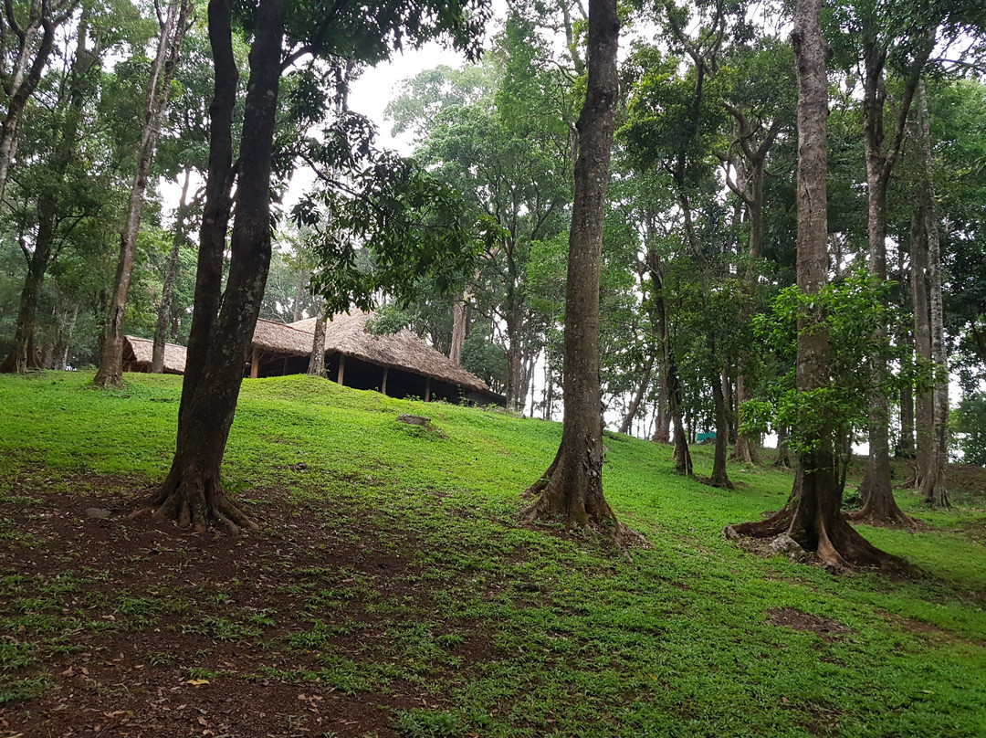 900 Woods Eco Resort主图