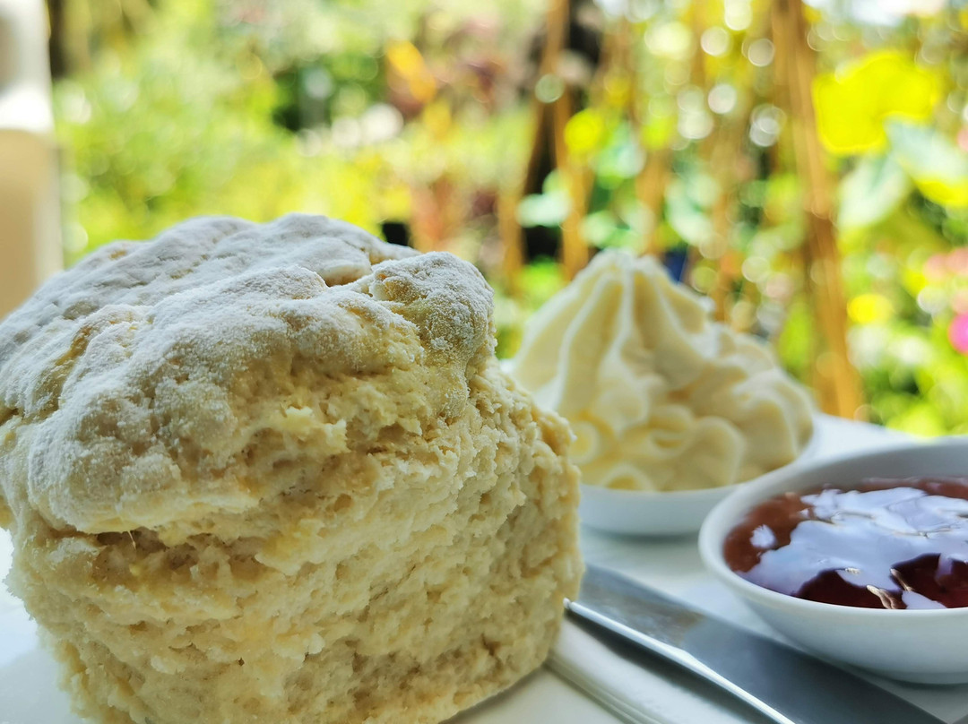 Wyee旅游攻略图片