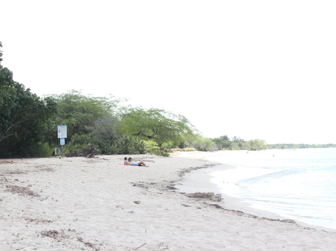 Luichy's Guest House主图