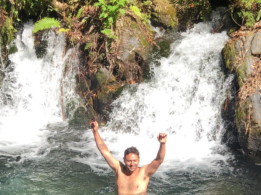 Ojos del Huishue-Lago Ranco必去景点