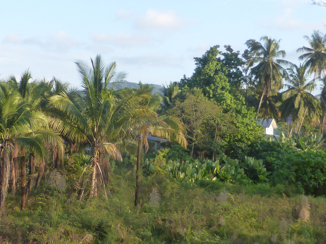 邦萨村酒店主图