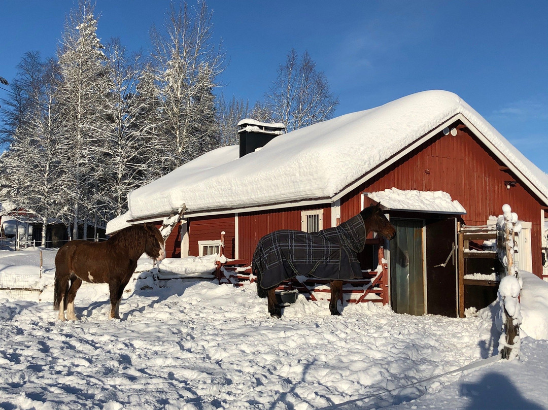 Santa´s Cottage & Pet Farm-Sirkka必去景点