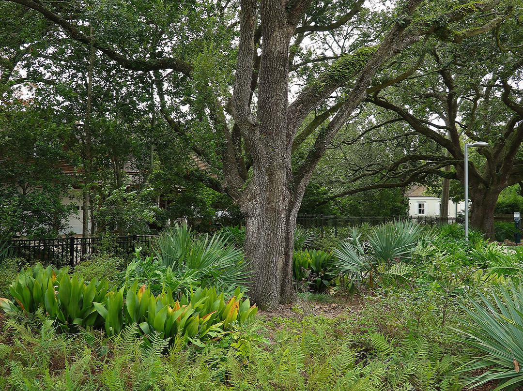 River Ridge Meditation Park景点图片