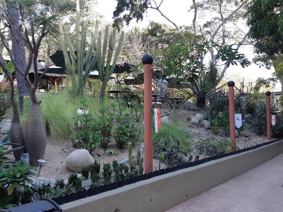 Binniguenda Huatulco主图