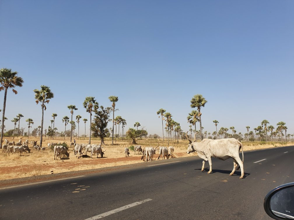 Diegane Diouf Senegal Guide-莫布瓦必去景点