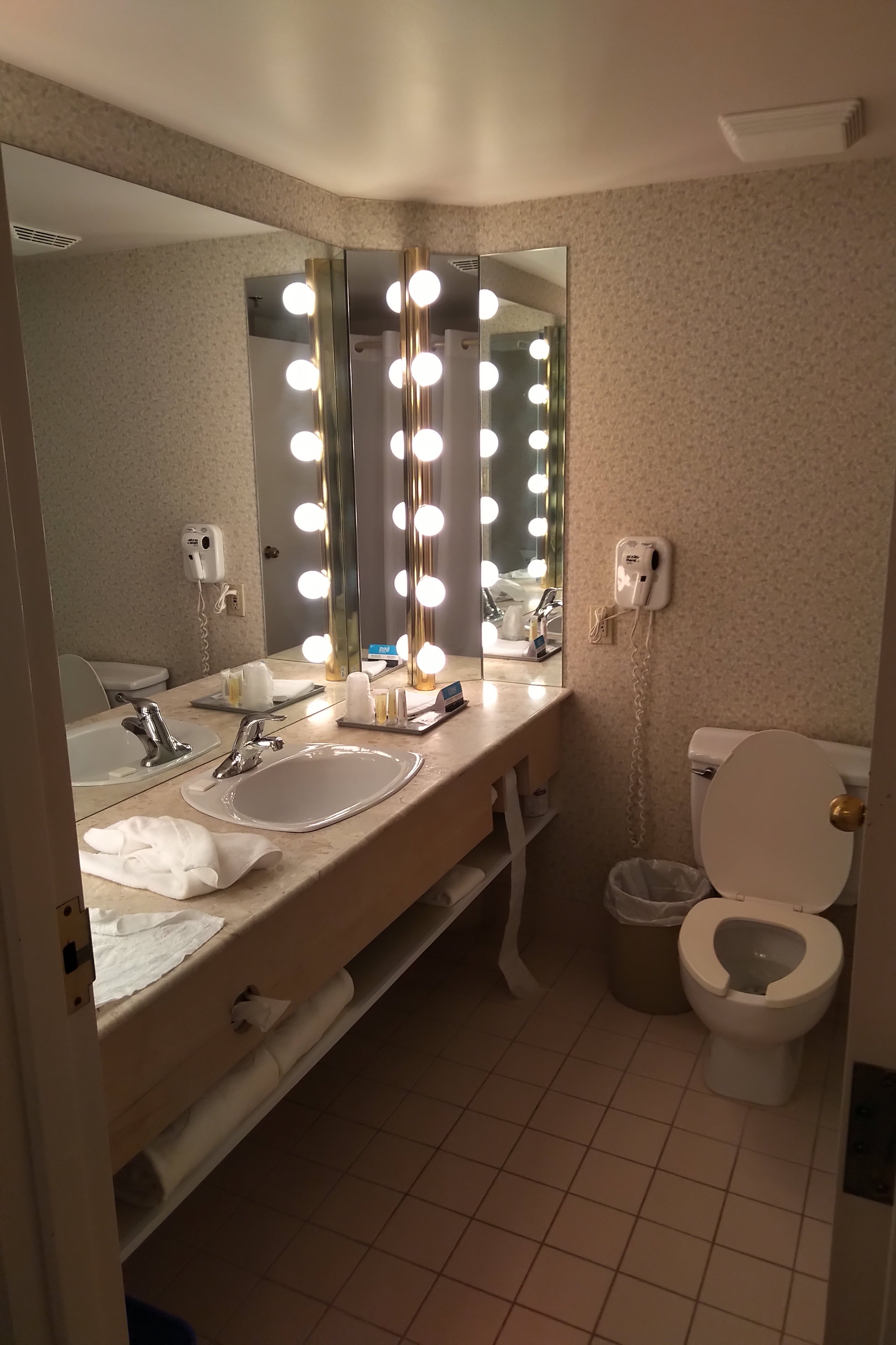 Hôtels Gouverneur Montréal-île Charron-浴室