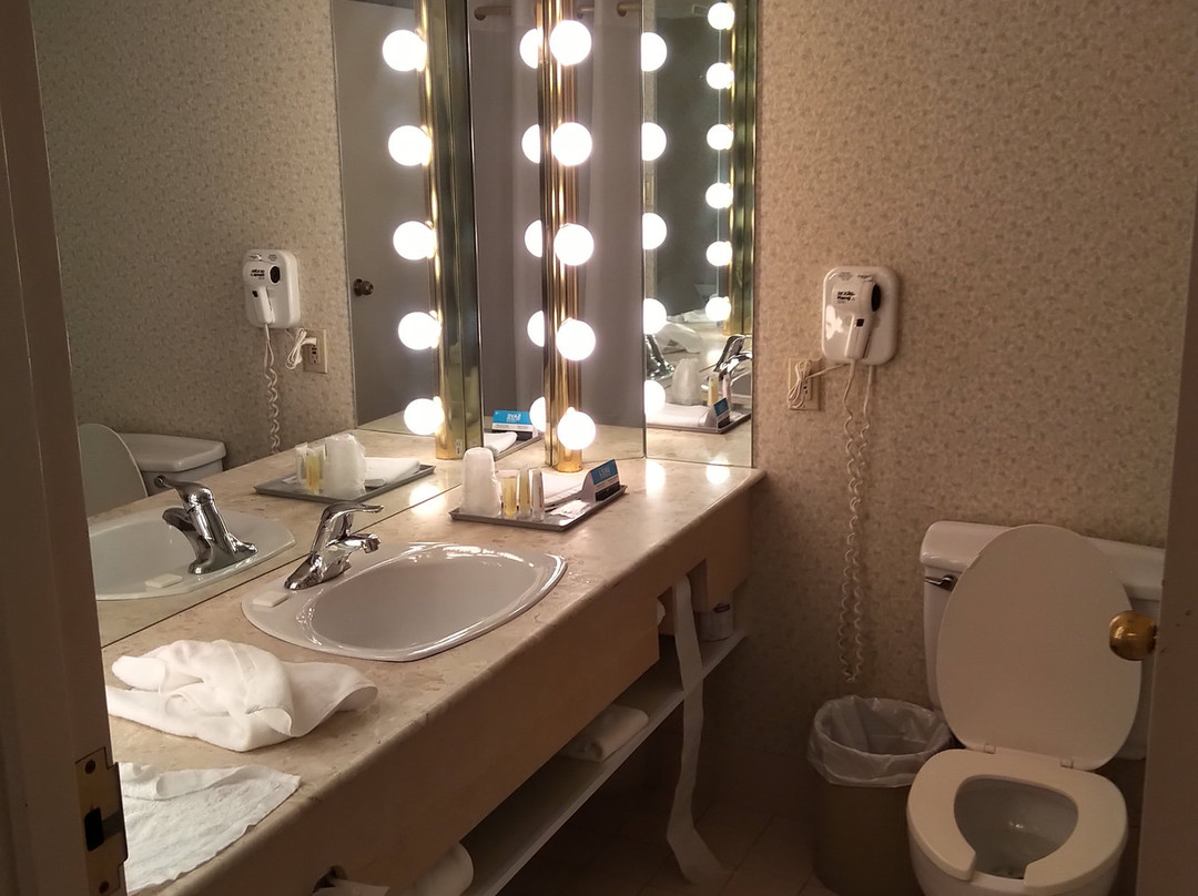 Hôtels Gouverneur Montréal-île Charron主图