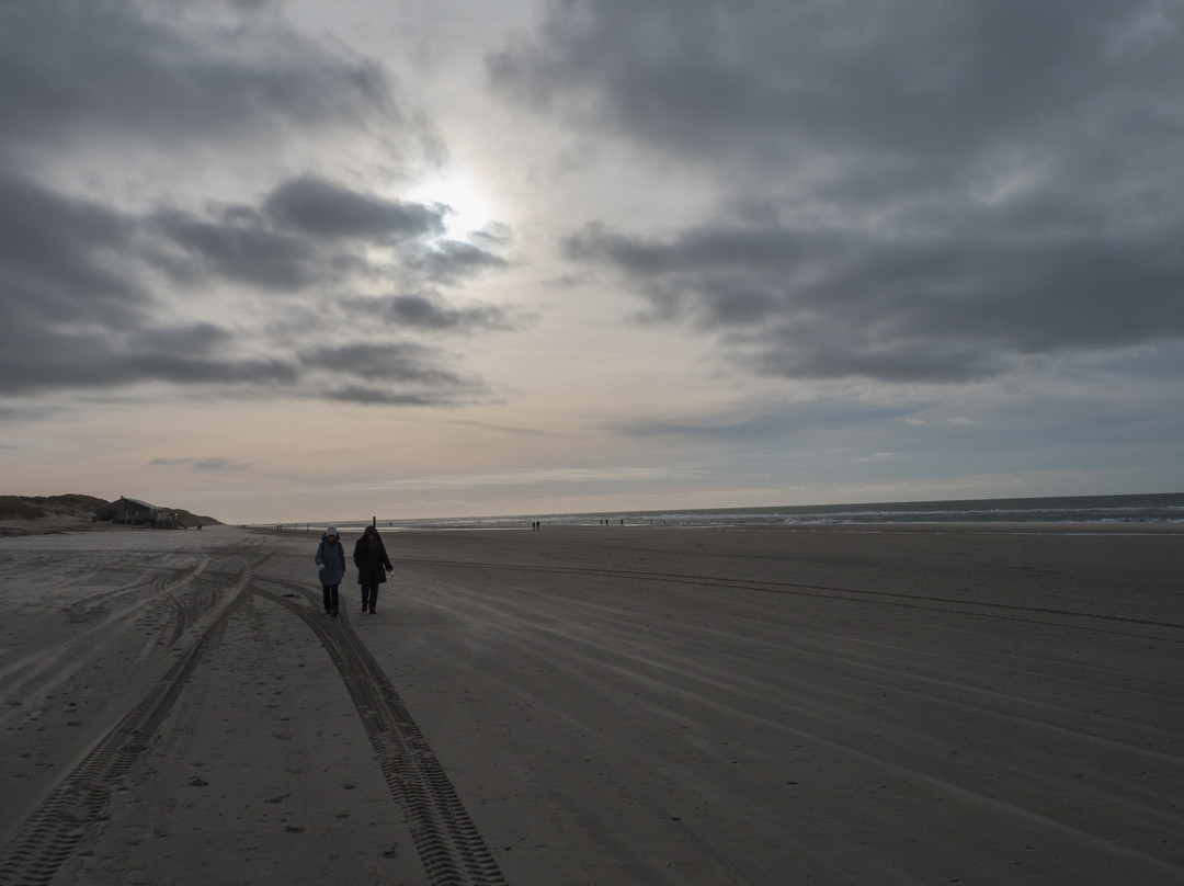 Waddeneiland Texel-特塞尔必去景点