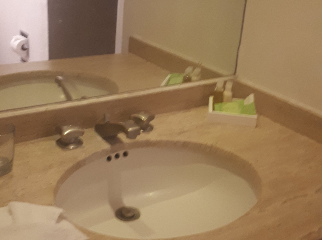 Hotel Francia Aguascalientes主图