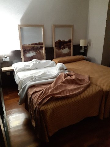 圣锡西利亚酒店-官方