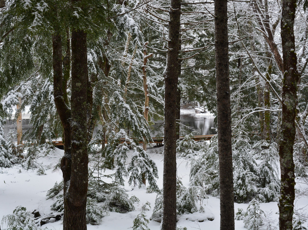 Mersey River Chalets and Nature Retreat主图