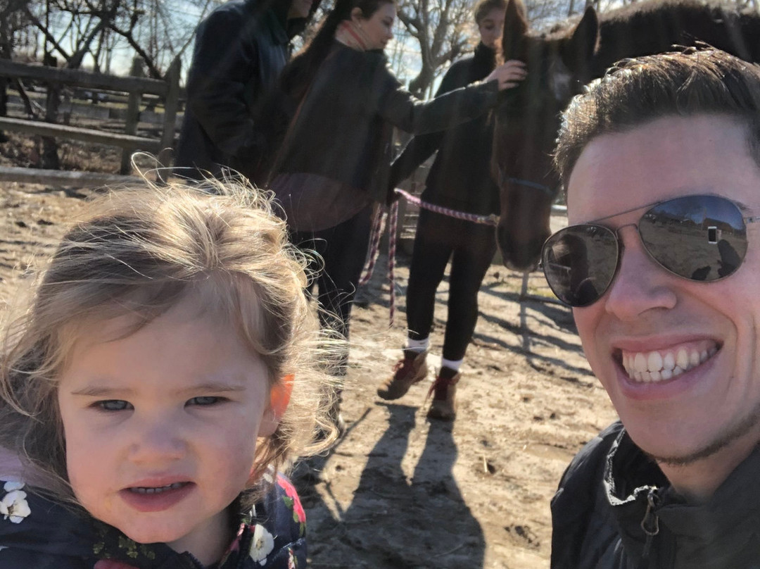 Spirit’s Promise Equine Rescue-Riverhead必去景点